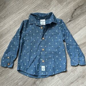 Toddler Boy Button Down Shirt